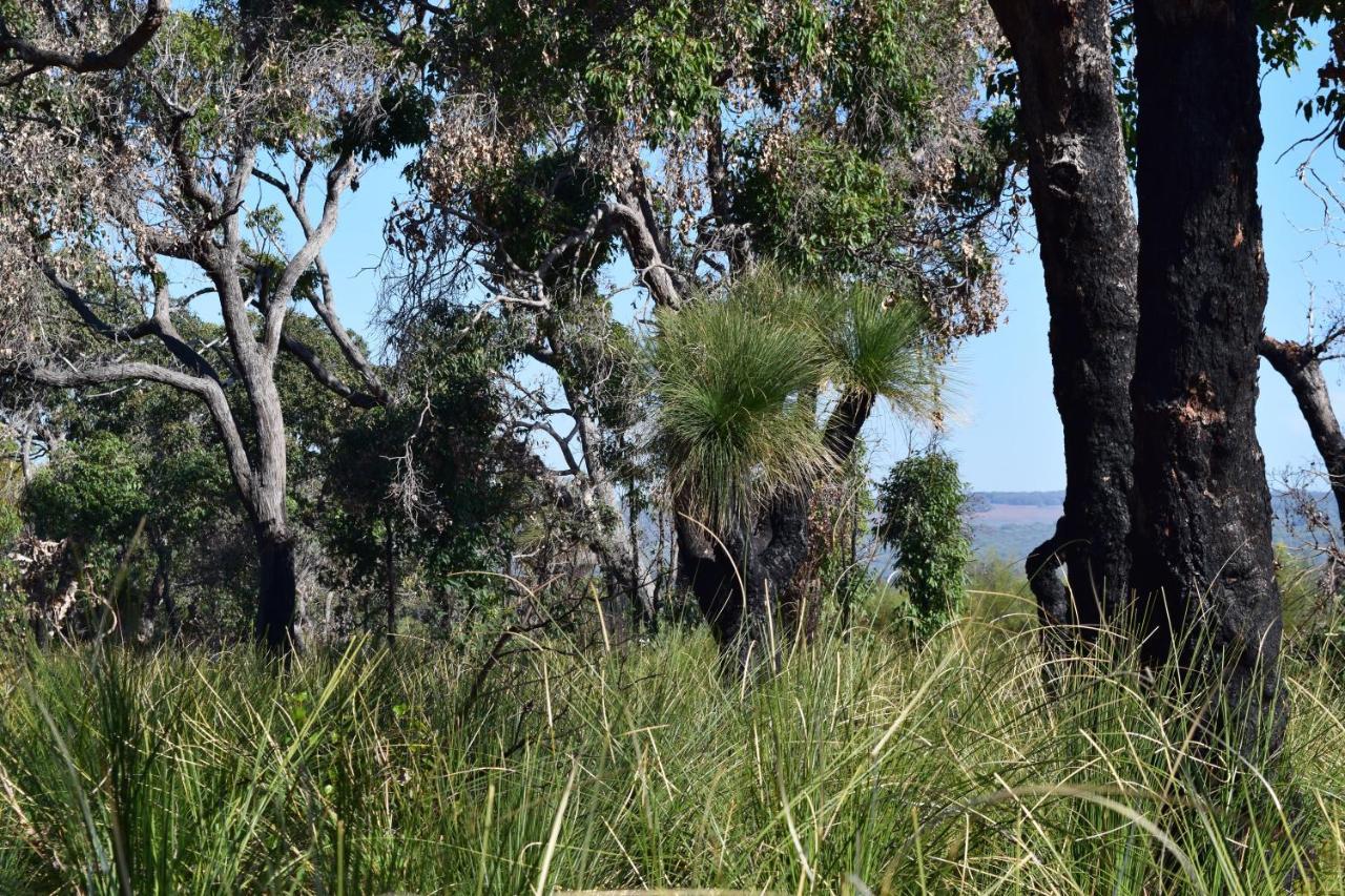 Bed and Breakfast Eagle Bay House Dunsborough Esterno foto