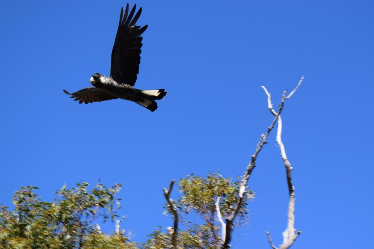 Bed and Breakfast Eagle Bay House Dunsborough Esterno foto