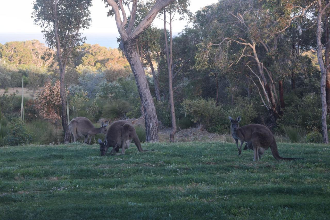 Bed and Breakfast Eagle Bay House Dunsborough Esterno foto